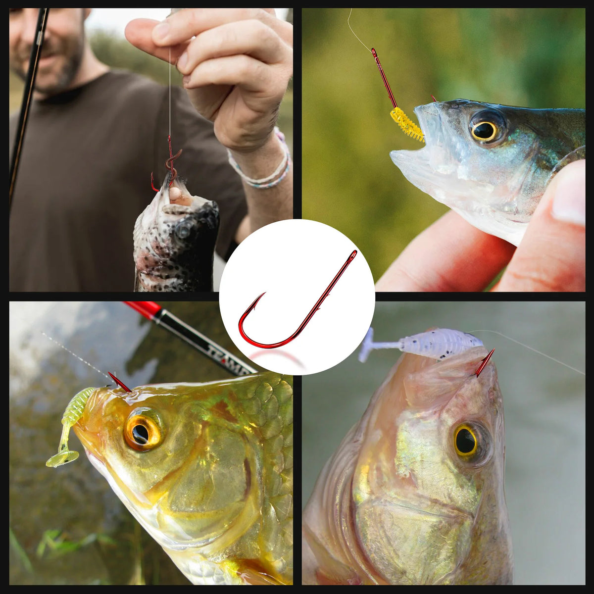 Long-Shank Baitholder Hooks